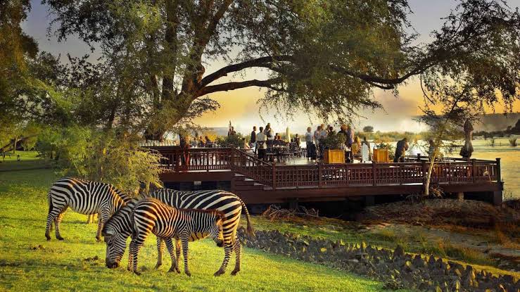 Victoria Falls lodge and surrounding landscape